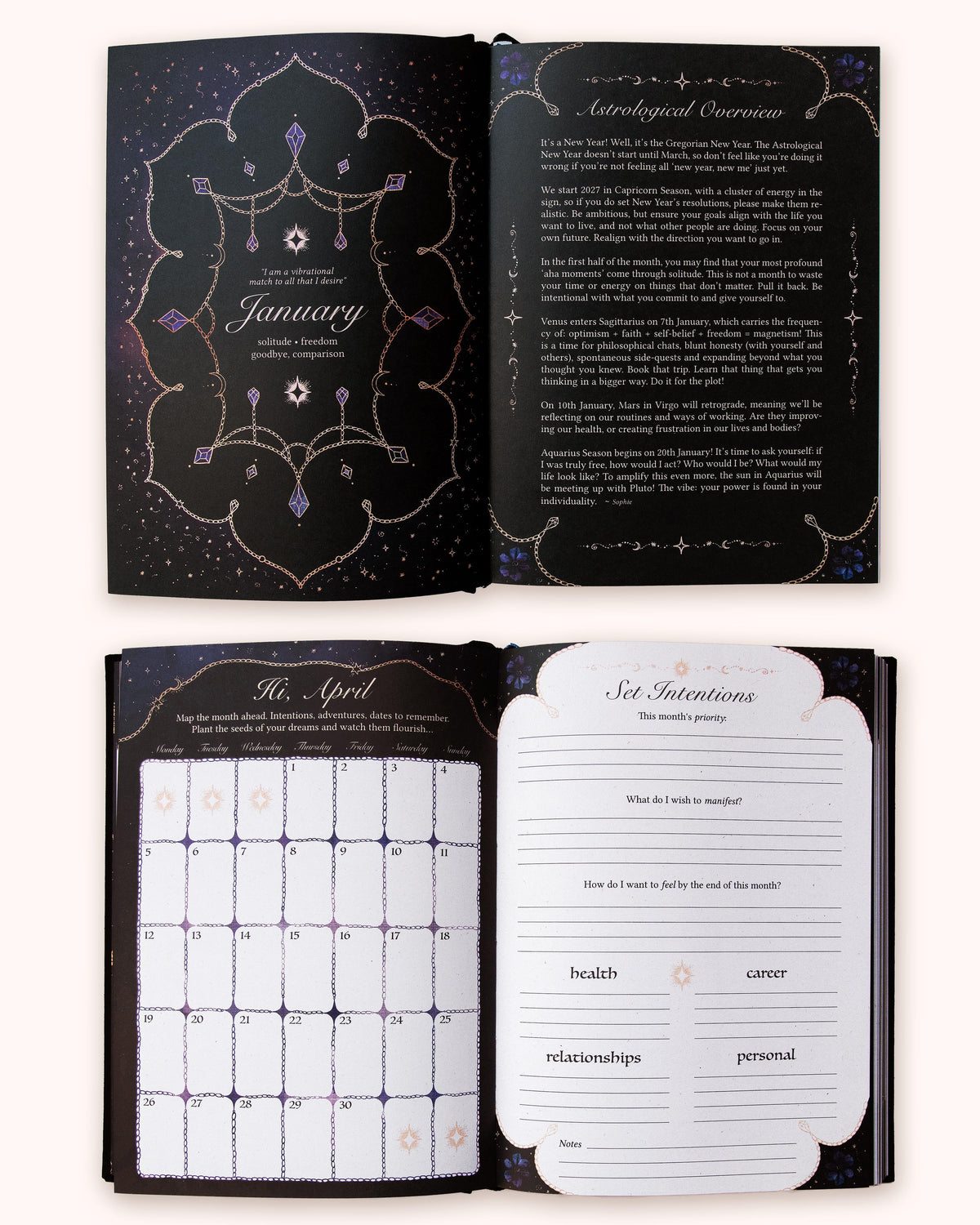 Dreamy Moons Year of Growth Book 2027
