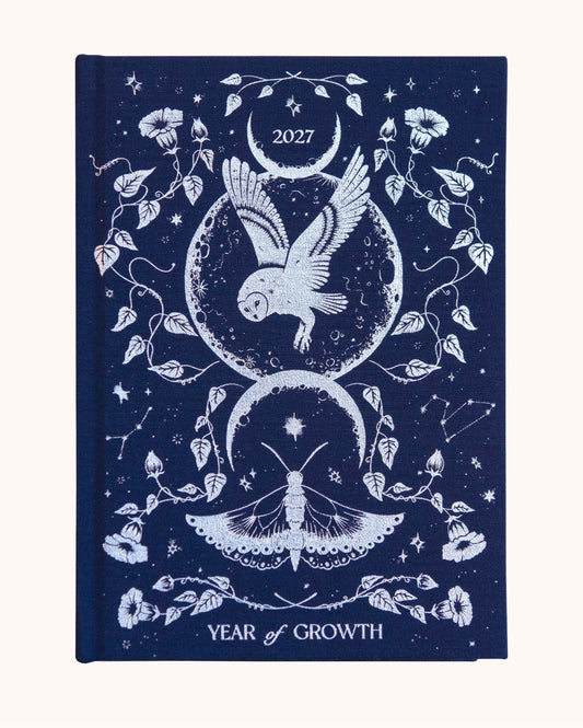 Dreamy Moons Year of Growth Book 2027 - Shelfscape