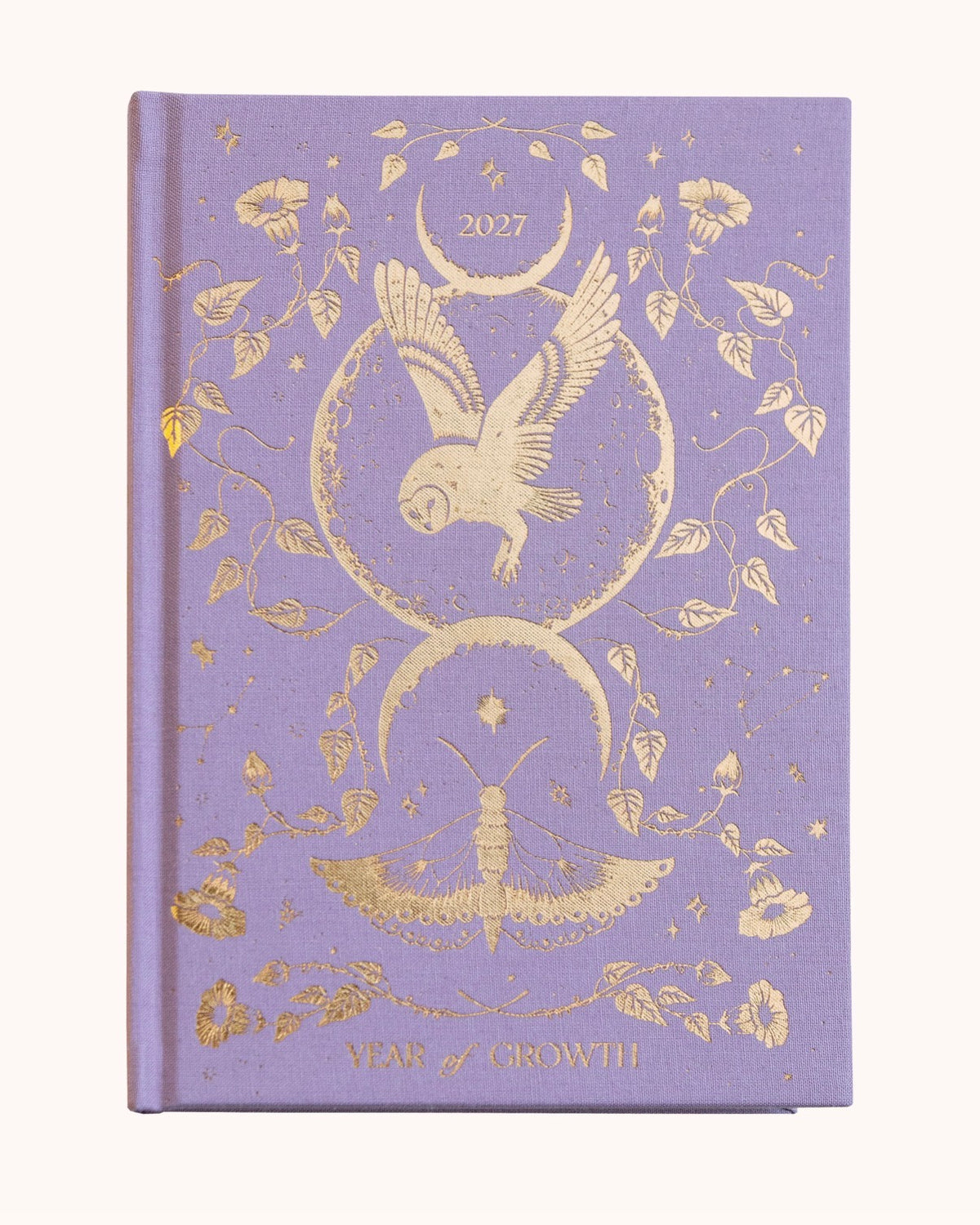 Dreamy Moons Year of Growth Book 2027