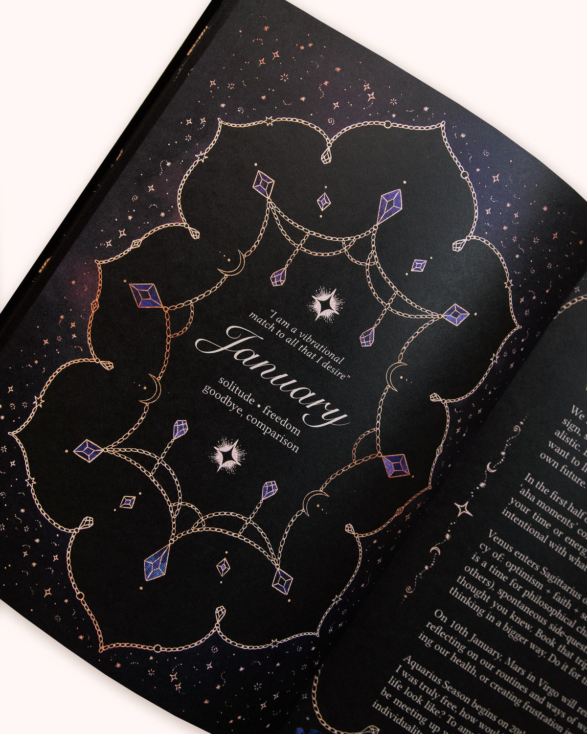 Dreamy Moons Year of Growth Book 2027