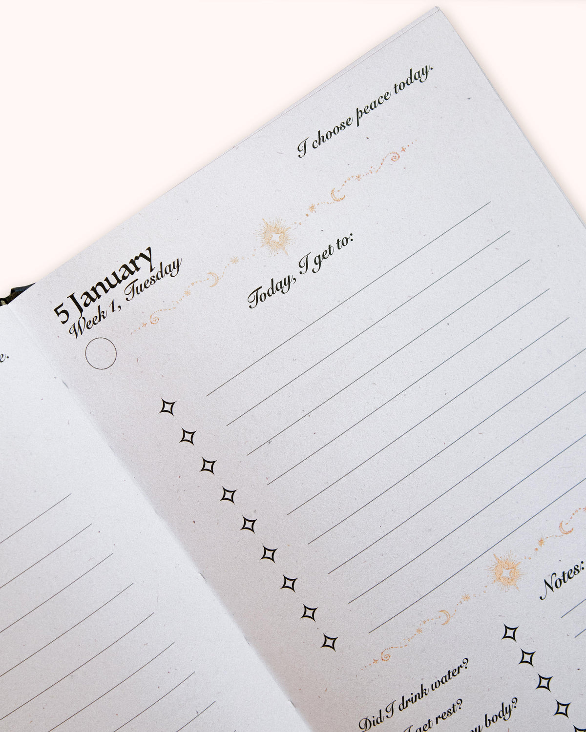 Dreamy Moons 2027 Daily Planner