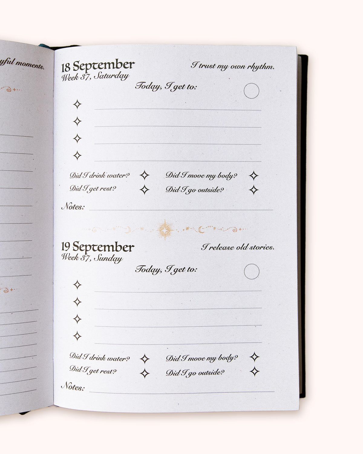 Dreamy Moons 2027 Daily Planner