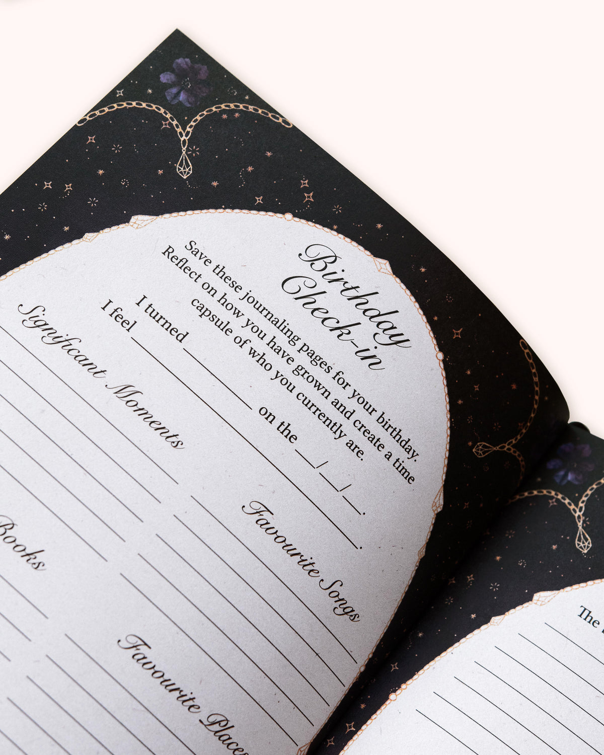 Dreamy Moons Year of Growth Book 2027