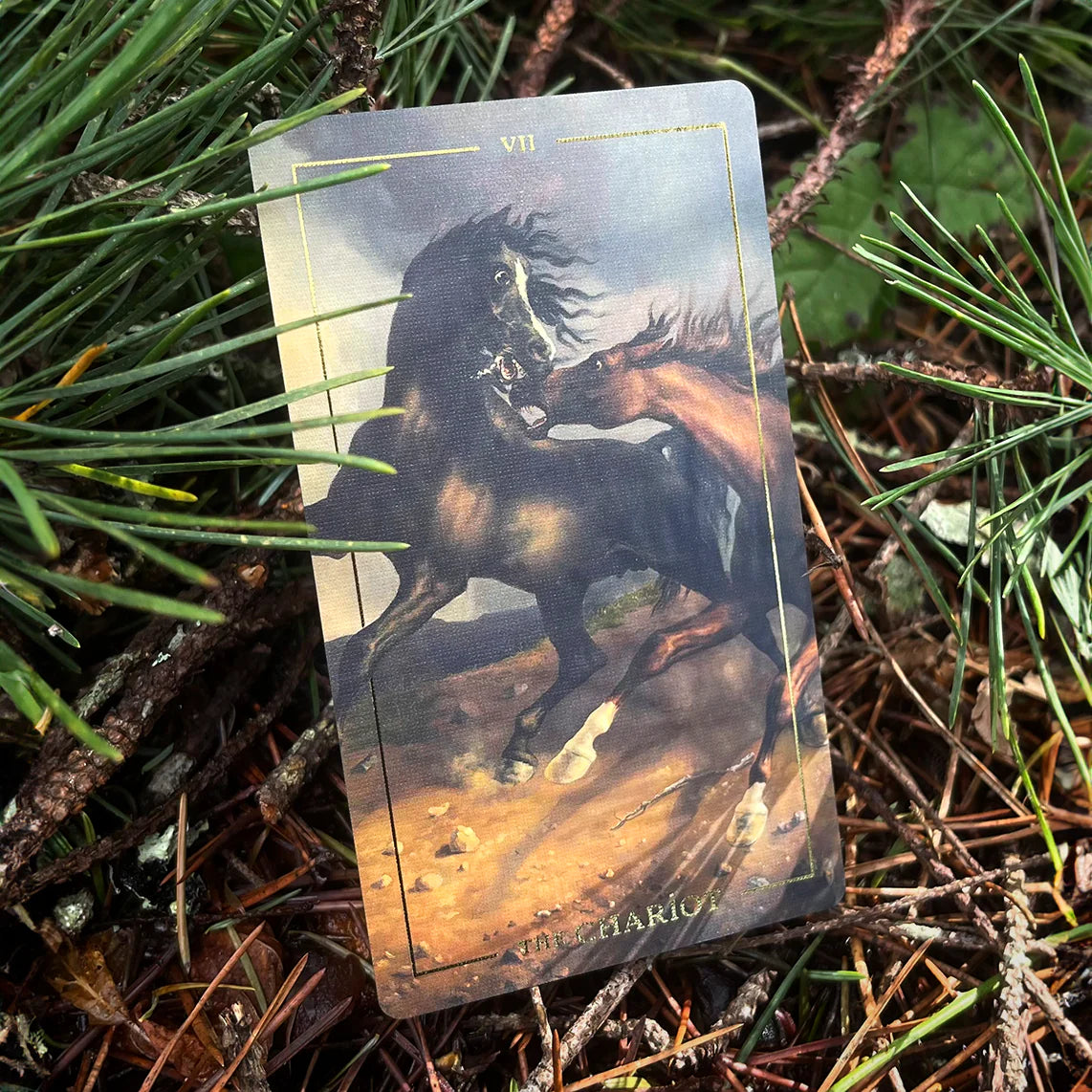 Folkloric Forest Tarot by Ivyly - Shelfscape