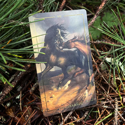 Folkloric Forest Tarot by Ivyly - Shelfscape