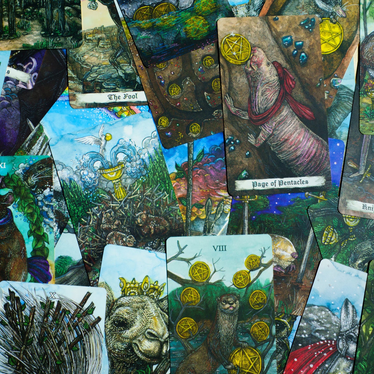 Terra Arcanae - The Earth Tarot by Taylor Bryn - Shelfscape