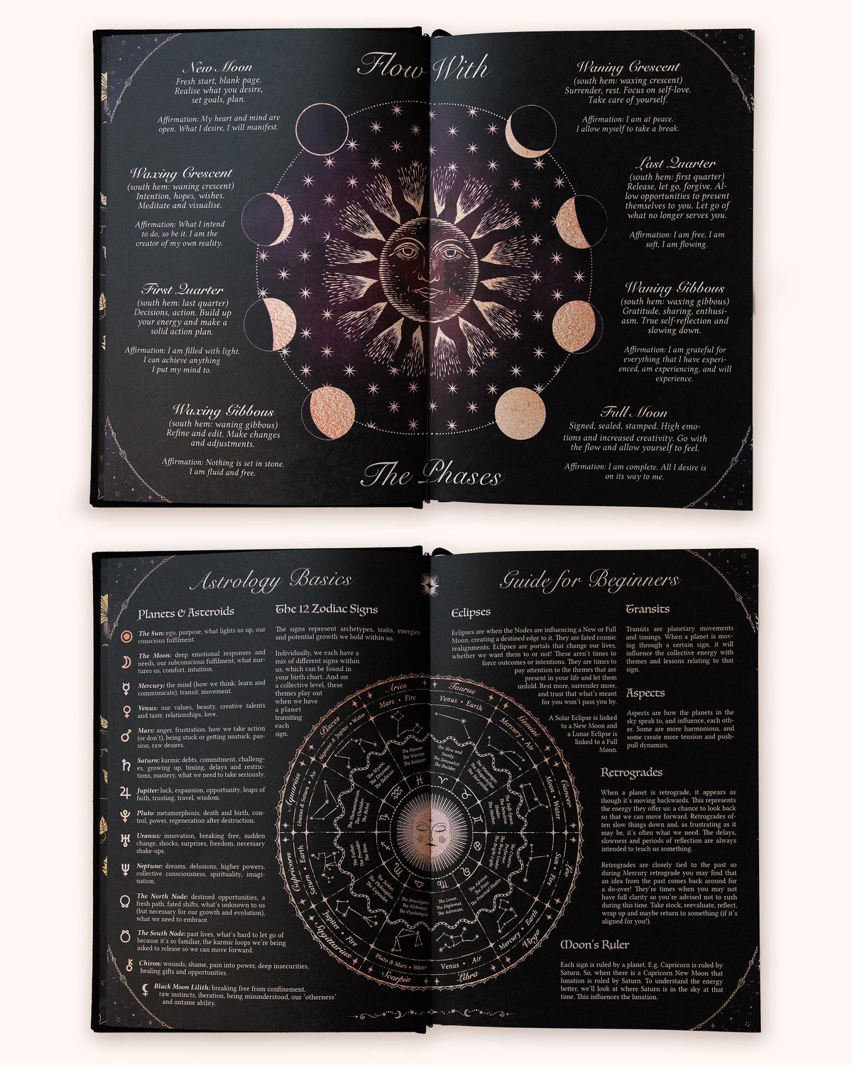 Dreamy Moons Year of Growth Book 2027
