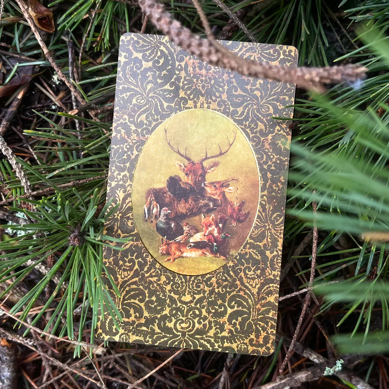 Folkloric Forest Tarot by Ivyly - Shelfscape