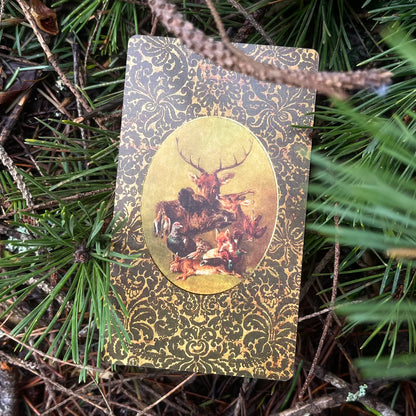 Folkloric Forest Tarot by Ivyly - Shelfscape