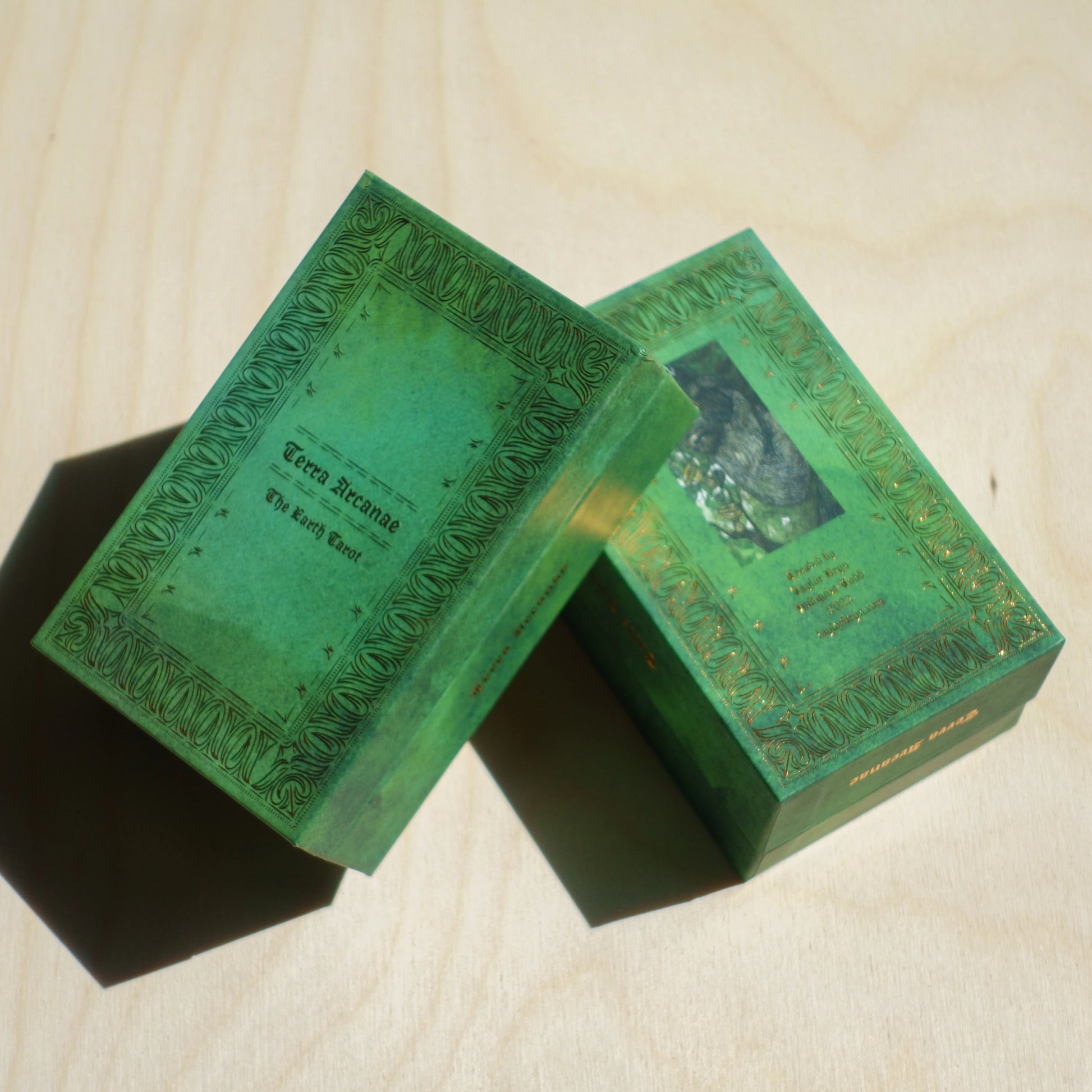 Terra Arcanae - The Earth Tarot by Taylor Bryn - Shelfscape