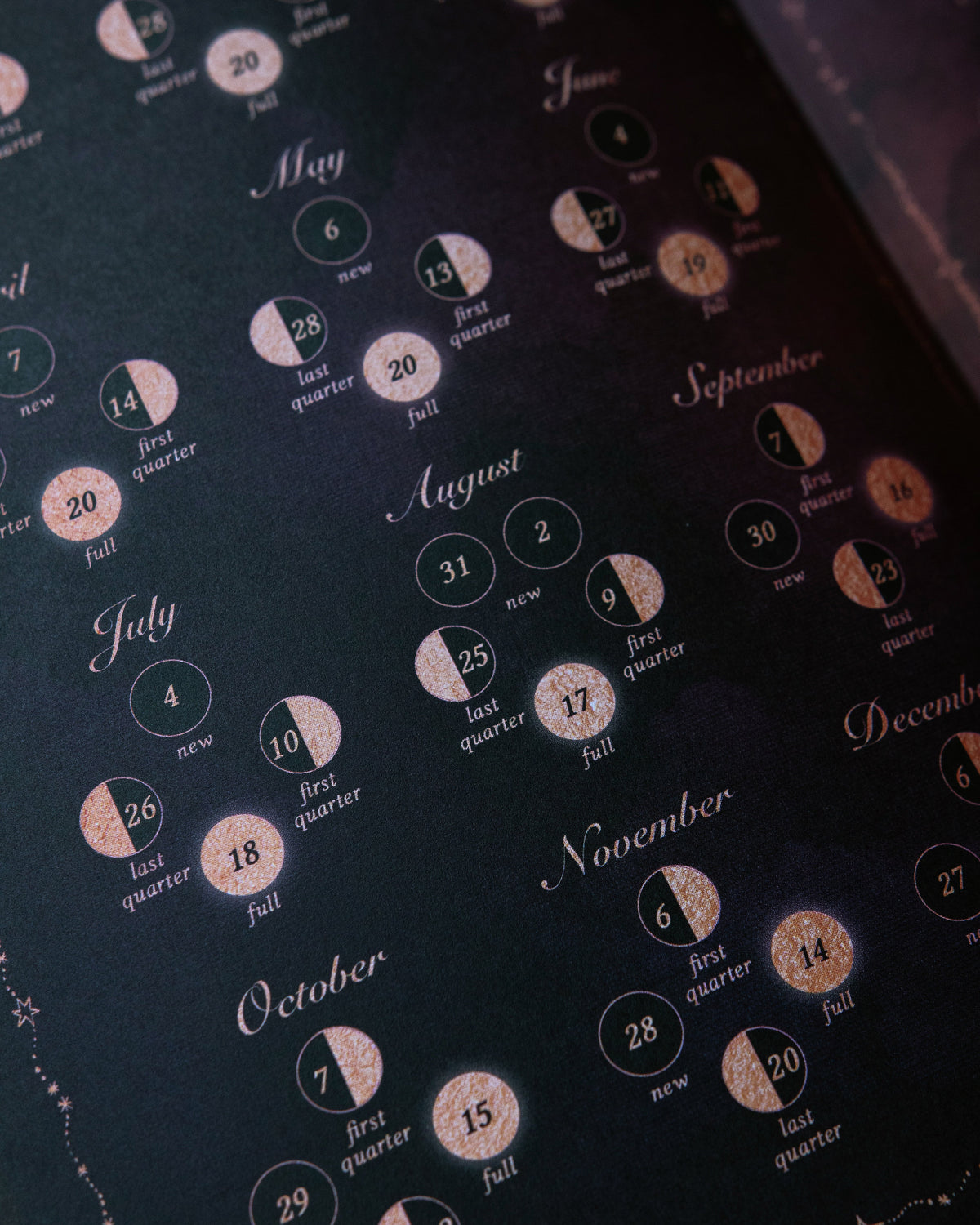 Dreamy Moons Year of Growth Book 2027