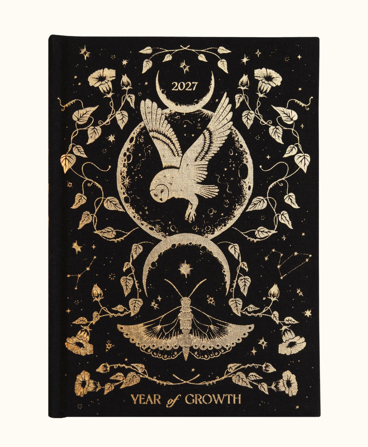 Dreamy Moons Year of Growth Book 2027