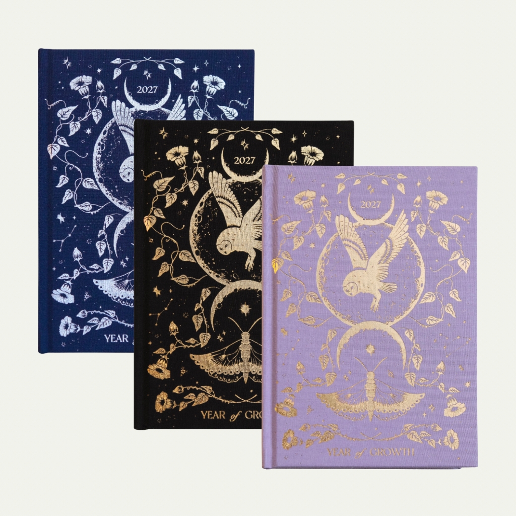Dreamy Moons Year of Growth Book 2027