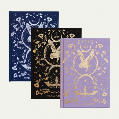 Dreamy Moons Year of Growth Book 2027