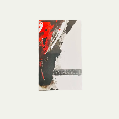 Animasoul Tarot by Maneo - Shelfscape