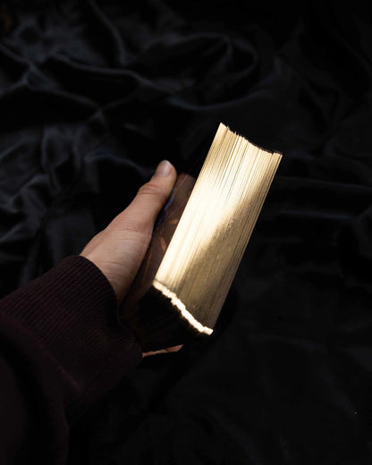 Dreamy Moons Tarot by Annie Tarasova - Shelfscape