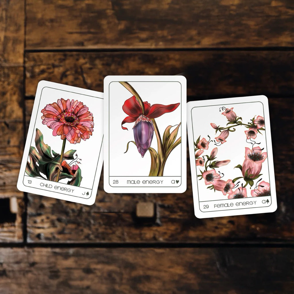 Terra Lenormand 2nd Edition by Bouchette Design - Shelfscape