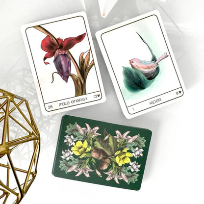 Terra Lenormand 2nd Edition by Bouchette Design - Shelfscape