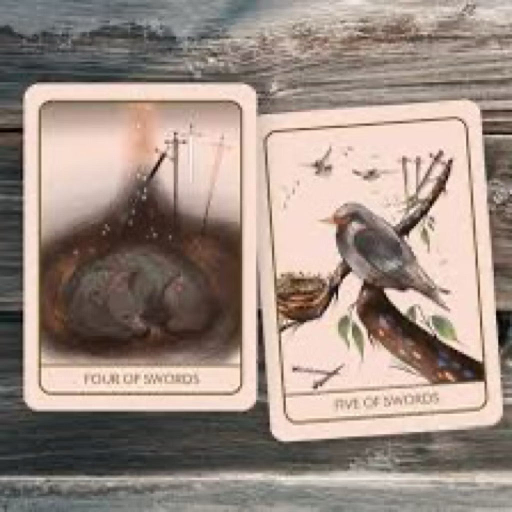 Orenda Tarot by Bouchette Design - Shelfscape