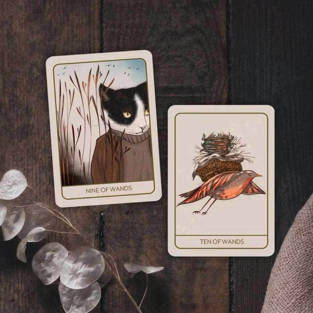 Orenda Tarot by Bouchette Design - Shelfscape