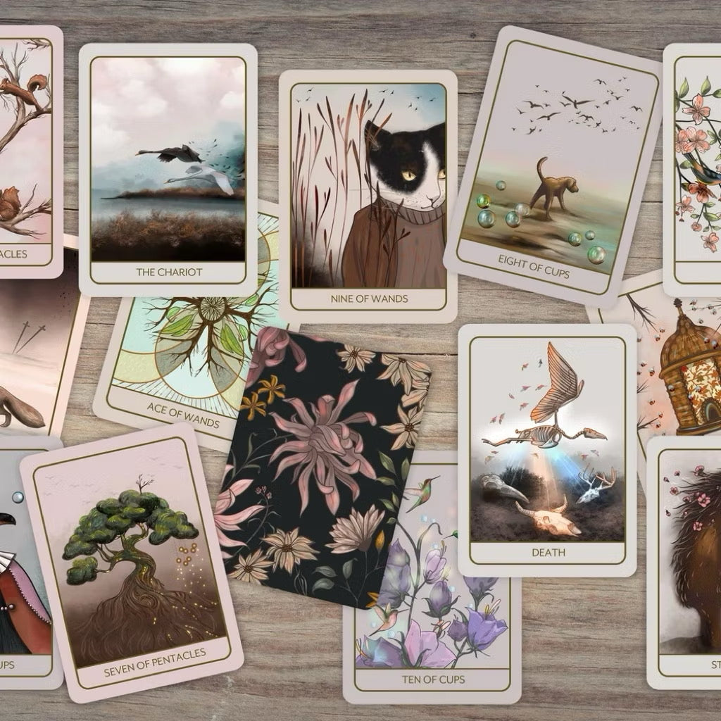 Orenda Tarot by Bouchette Design - Shelfscape